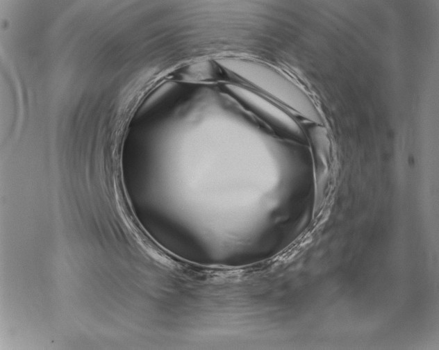 X0000069400097200606021707