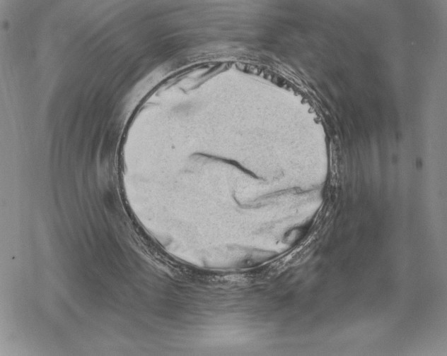 X0000069400099200606021707