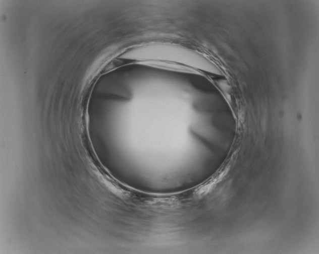 X0000069400101200606021707