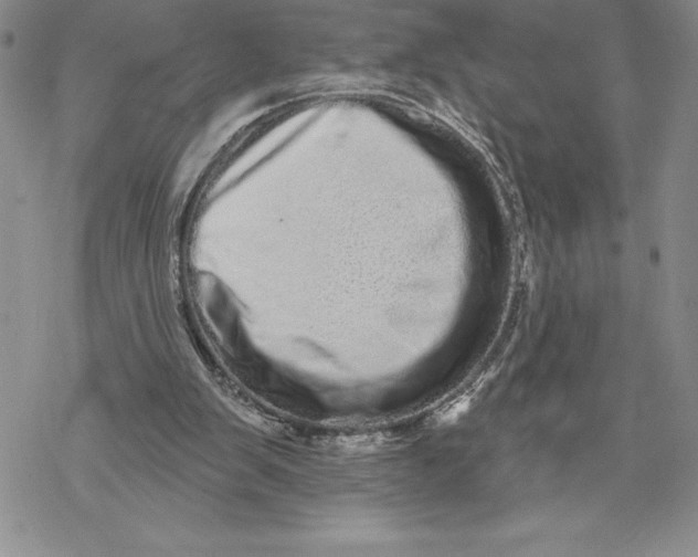 X0000069400103200606021706