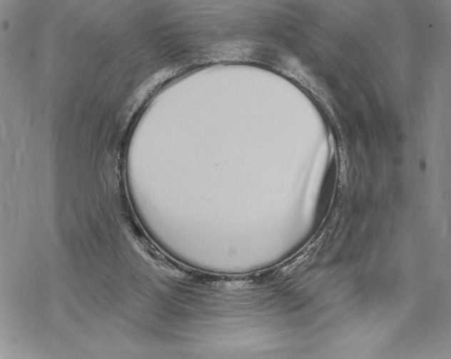 X0000069400107200606021706