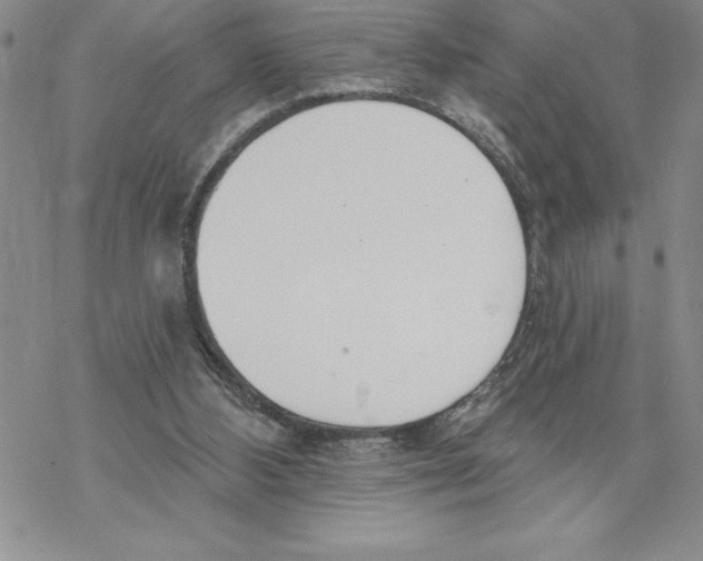 X0000069400108200606021706