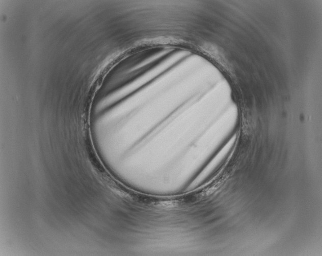 X0000069400111200606021706