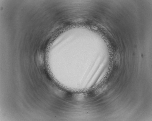 X0000069400131200606021706