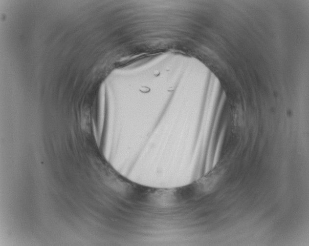 X0000069400138200606021706