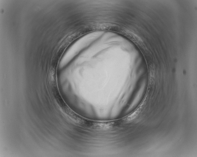 X0000069400166200606021705