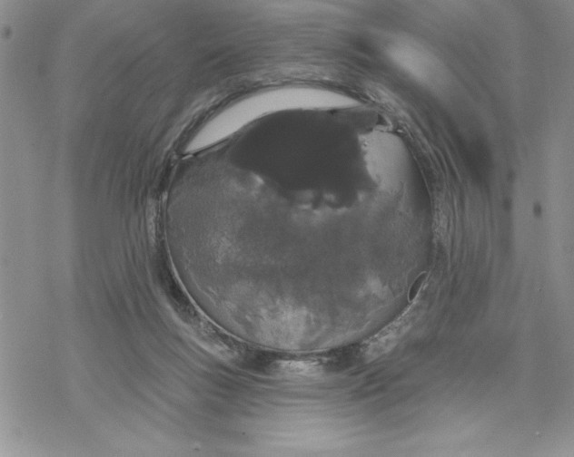 X0000069400167200606021705