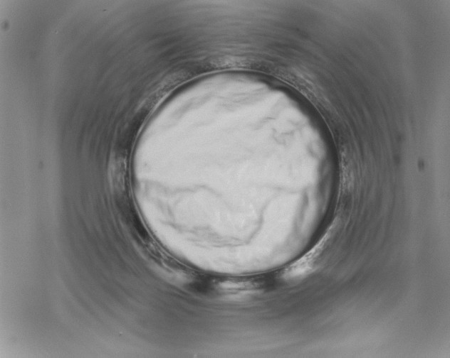 X0000069400171200606021705