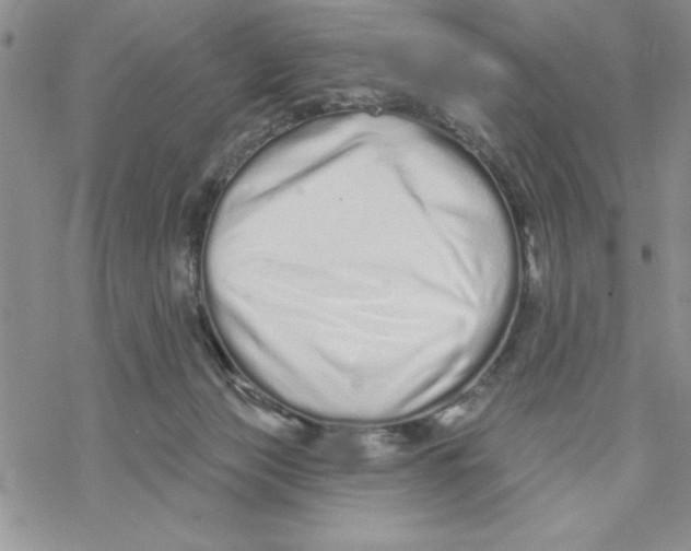 X0000069400173200606021705
