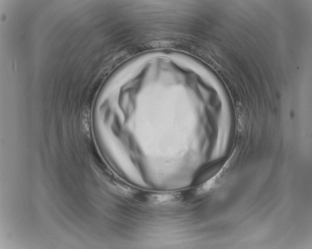 X0000069400175200606021706
