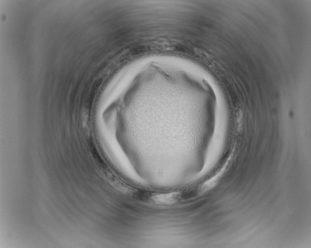 X0000069400178200606021706