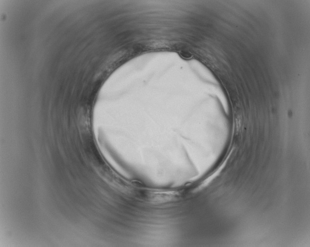 X0000069400179200606021706