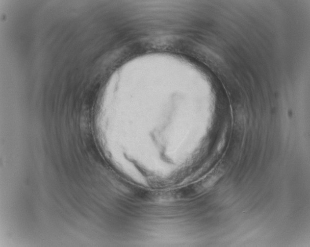 X0000069400181200606021706
