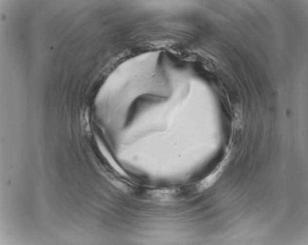 X0000069400182200606021706
