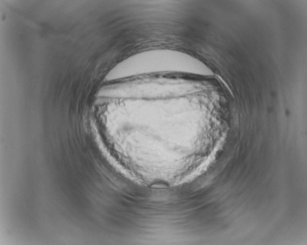 X0000069400185200606021706