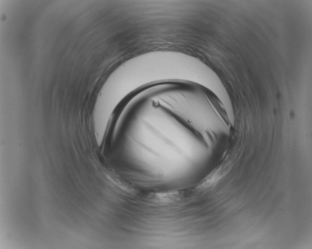 X0000069400188200606021706