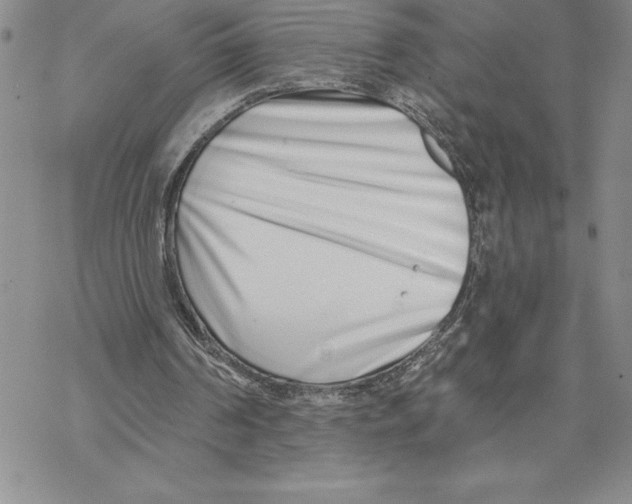X0000069400194200606021705