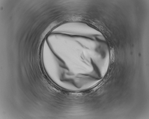 X0000069400195200606021705