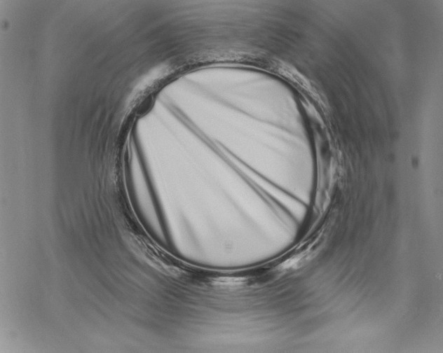 X0000069400203200606021705