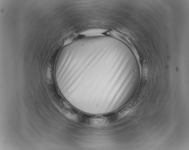 X0000069400215200606021705