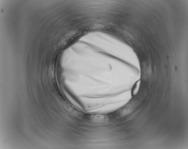 X0000069400230200606021704