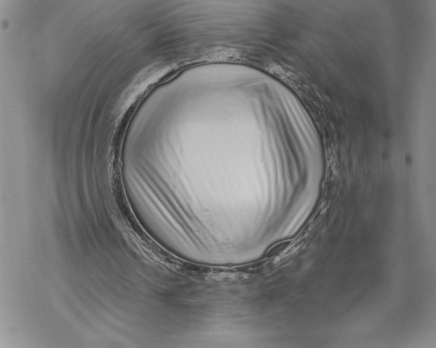 X0000069400242200606021703
