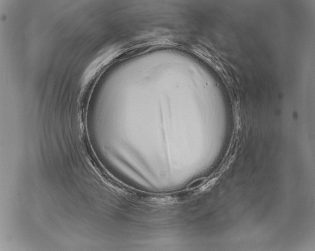 X0000069400245200606021703