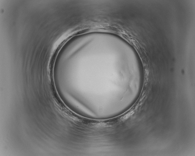 X0000069400246200606021703