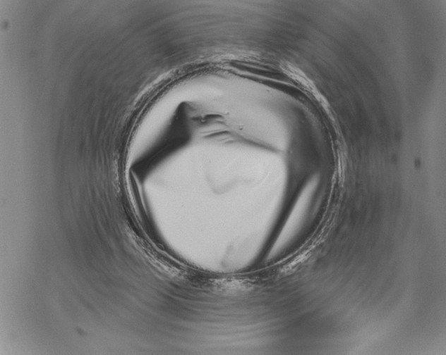 X0000069400249200606021704