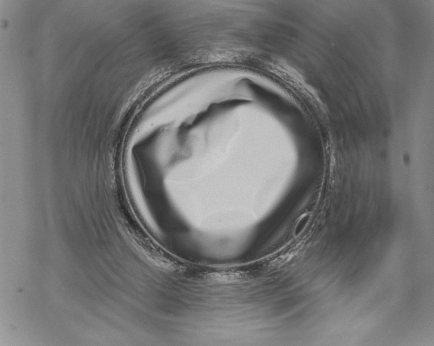 X0000069400250200606021704