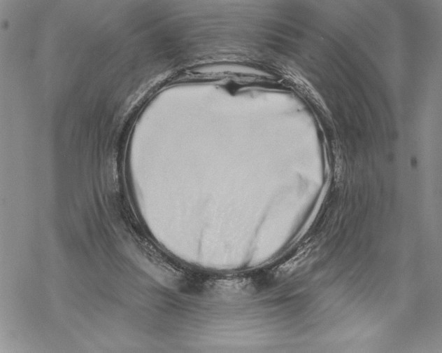 X0000069400251200606021704