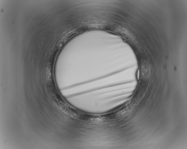 X0000069400259200606021704