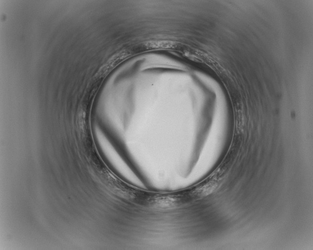 X0000069400263200606021704