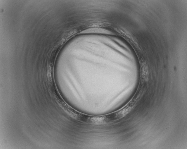 X0000069400265200606021704