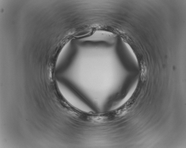 X0000069400268200606021704