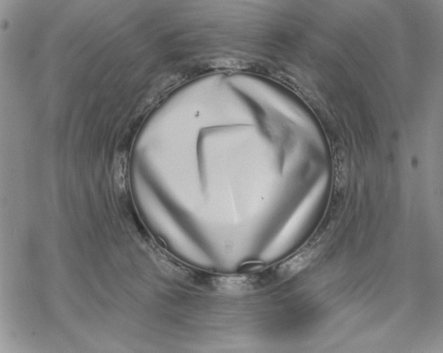 X0000069400273200606021704