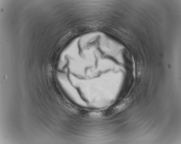 X0000069400279200606021704