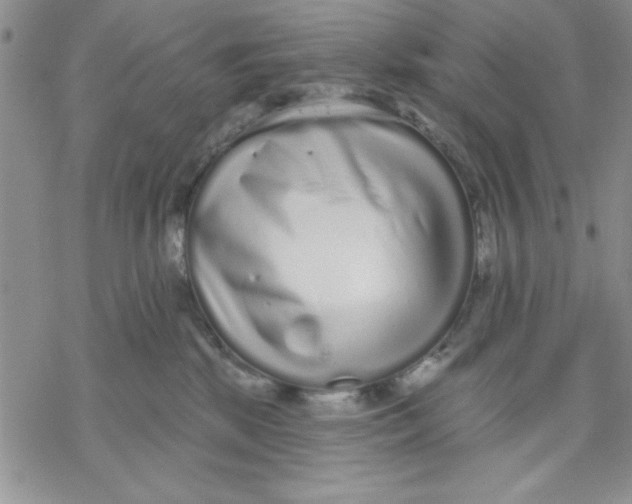 X0000069400281200606021704