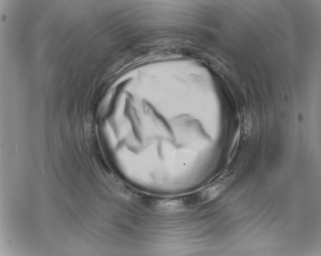 X0000069400283200606021704
