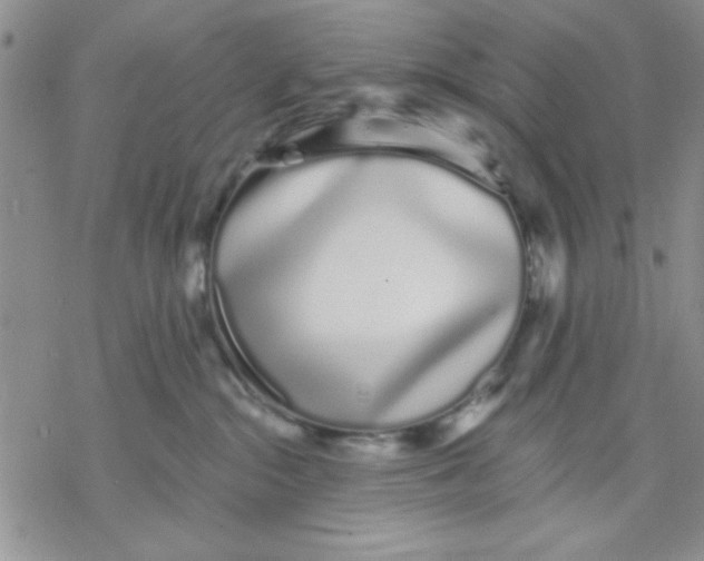 X0000069400284200606021704