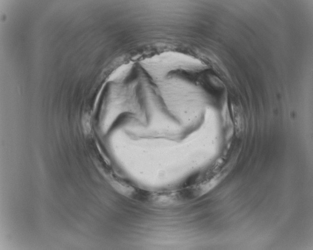 X0000069400285200606021704