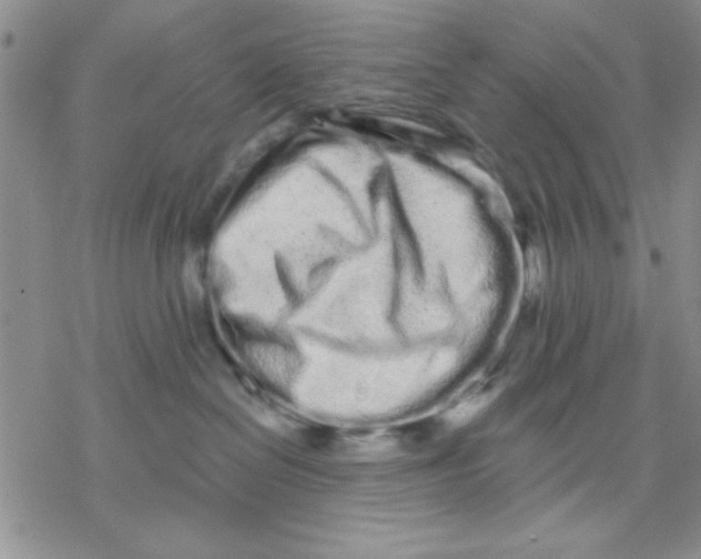 X0000069400286200606021704