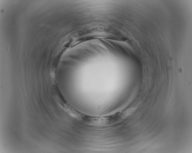X0000069400288200606021704