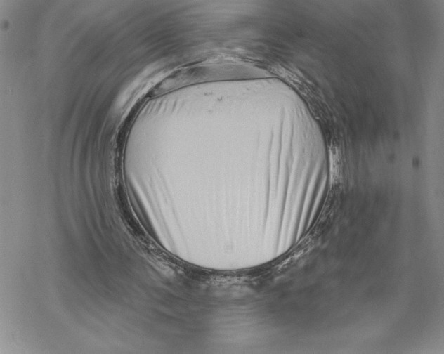 X0000069400291200606021703