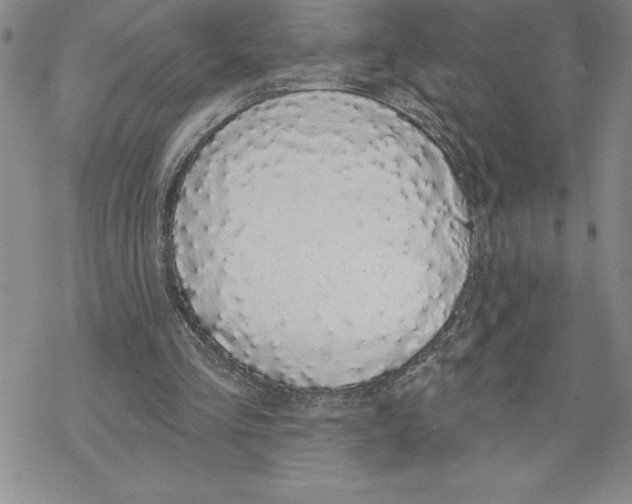 X0000069400293200606021703