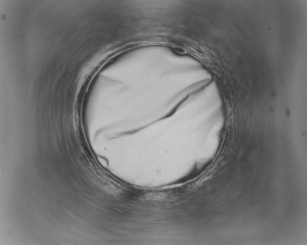 X0000069400294200606021703