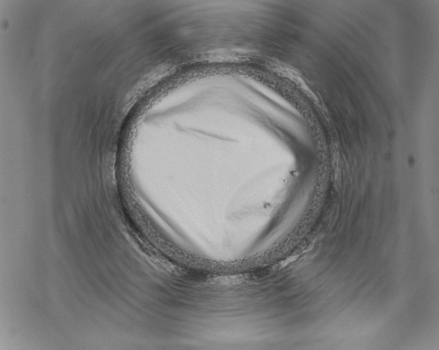 X0000069400299200606021703