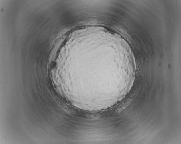 X0000069400301200606021703