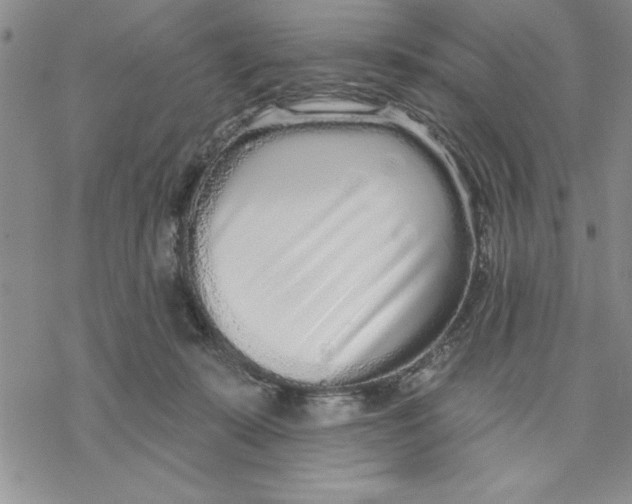 X0000069400319200606021703