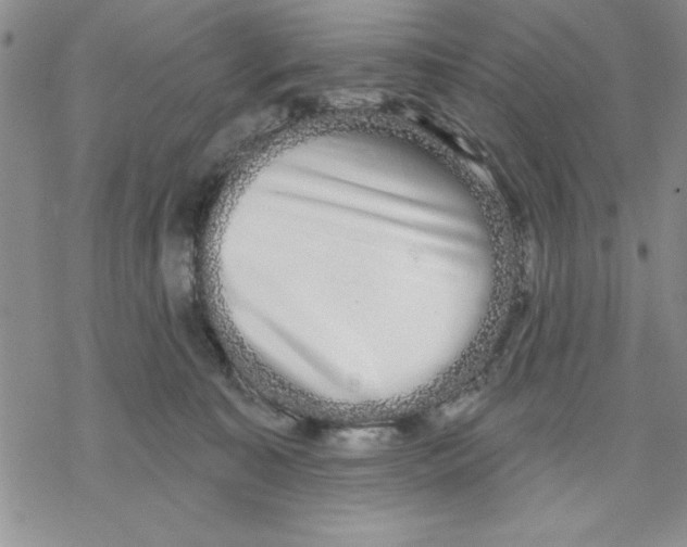 X0000069400323200606021703